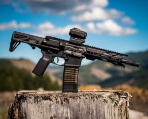 Why The AR-15 Can Be A Great Beginner Gun