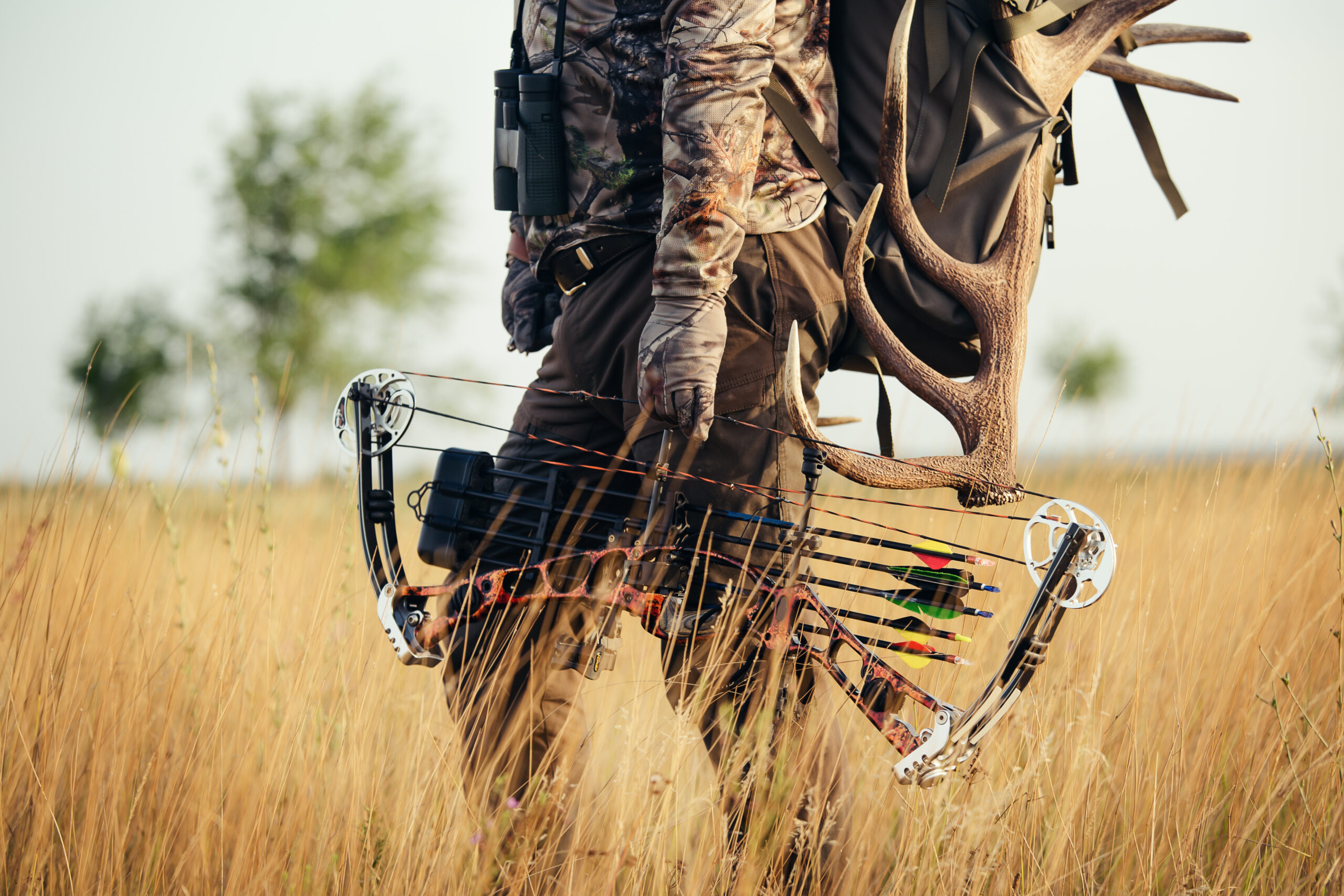 Best Hunting Bow On A Budget