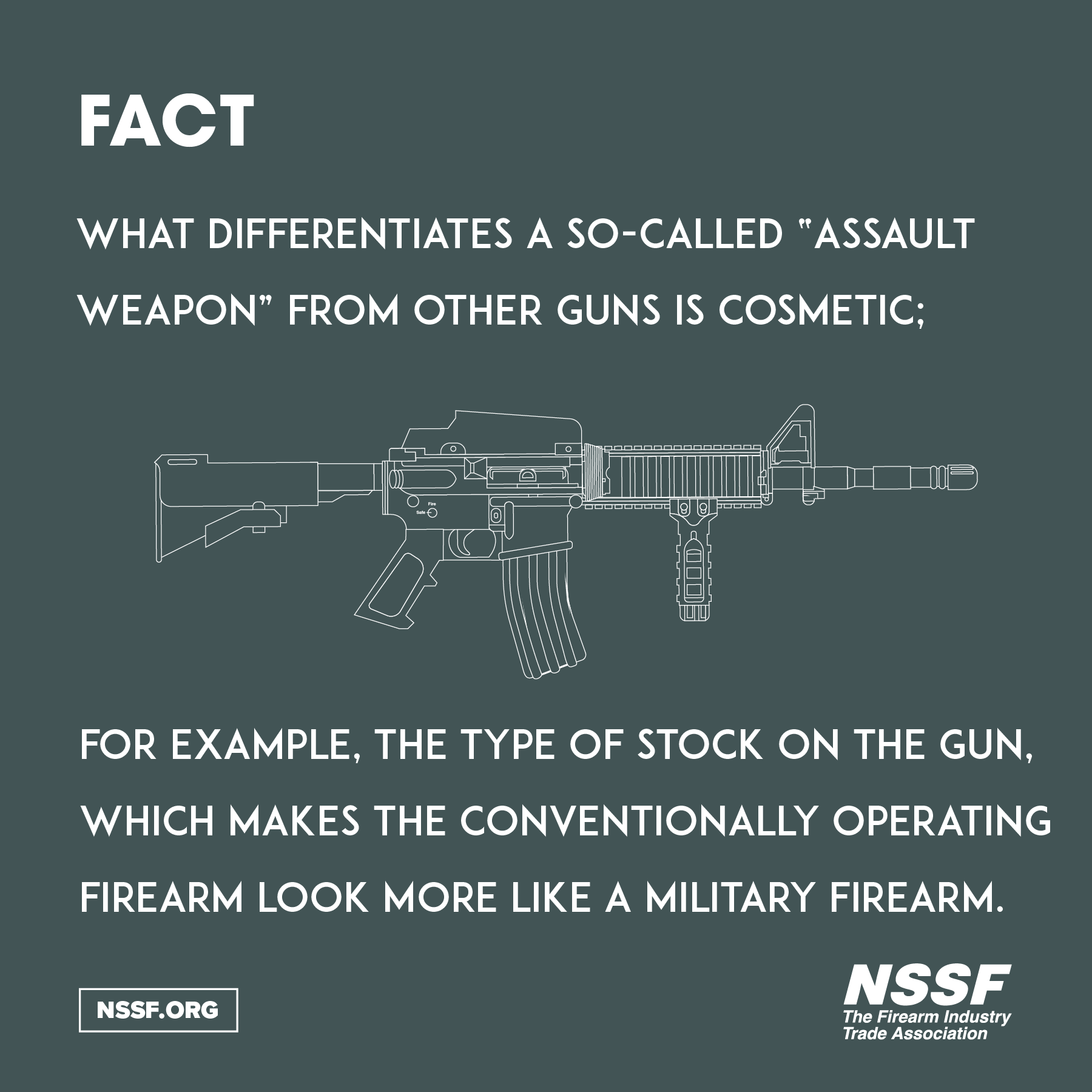 Difference Between Assault Weapons