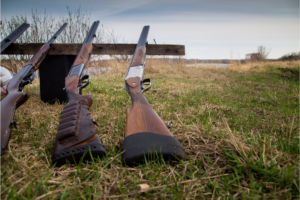 A Comprehensive Guide to Buying a Shotgun for Hunting and Sports Shooting