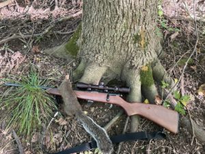 5 Reasons Why Everyone Should Own a Bolt-Action .22 Rifle
