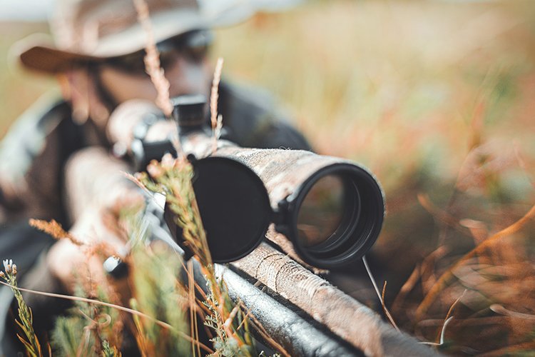 best optics for hunting