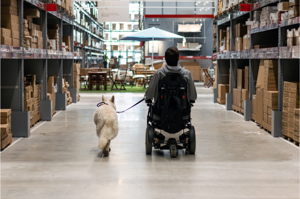 person with disability using service dog inside a store 